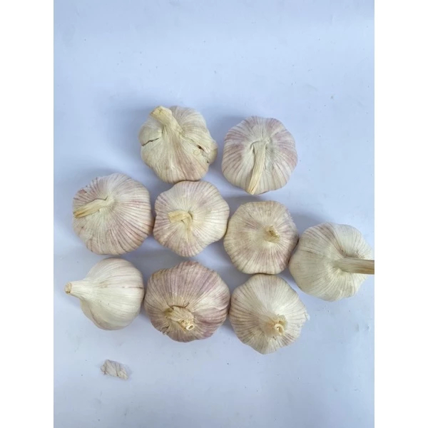 Tỏi / Tỏi lụa sạch chọn lọc 1kg