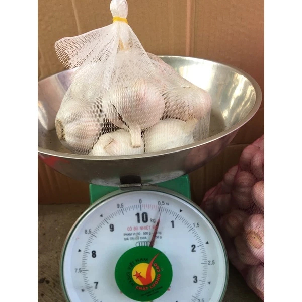 Tỏi / Tỏi lụa sạch chọn lọc 1kg
