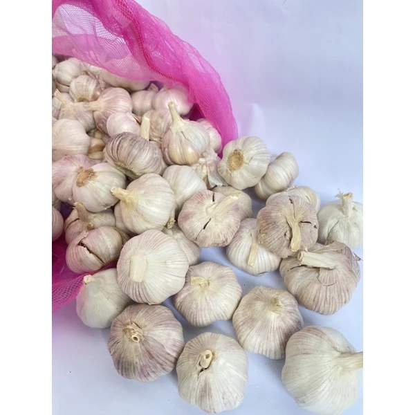 Tỏi / Tỏi lụa sạch chọn lọc 1kg