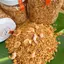 Muối Sặc Hạt Con Tôm Đặc Biệt - Đặc Sản Tây Ninh
