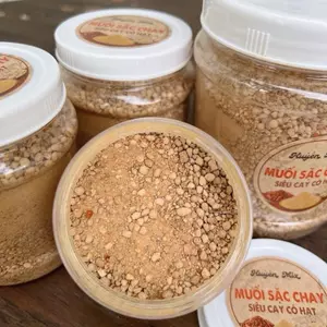Muối Sặc Tuổi Thơ Siêu Cay Có Hạt Đặc Biệt - Đặc Sản Tây Ninh