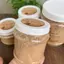 Muối Sặc Tuổi Thơ Siêu Cay Có Hạt Đặc Biệt - Đặc Sản Tây Ninh