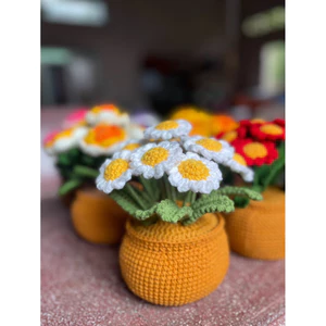 Chậu hoa cúc hoạ mi len để bàn- chậu hoa cúc len handmade