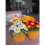 Chậu hoa cúc hoạ mi len để bàn- chậu hoa cúc len handmade
