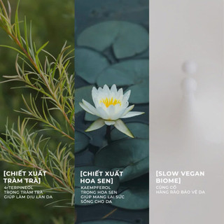 [Efilow] Mặt Nạ Giấy Thuần Chay EFILOW SHEET MASK