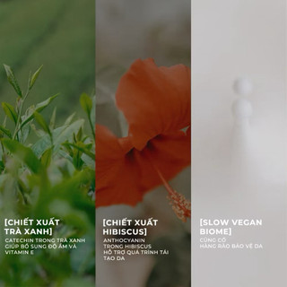 [Efilow] Mặt Nạ Giấy Thuần Chay EFILOW SHEET MASK