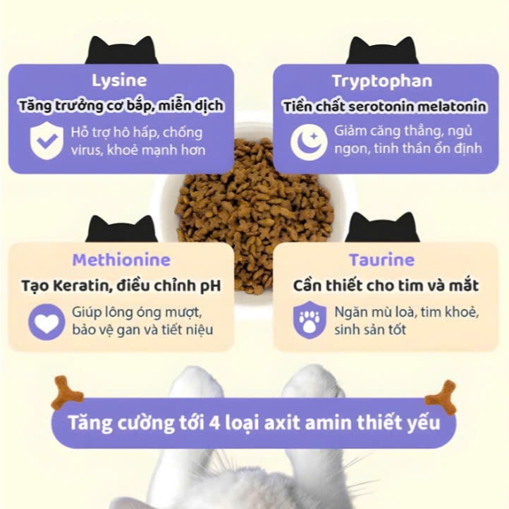 Thức ăn hạt CattyMan cho mèo mọi lứa tuổi - Vị Gà & Cá ngừ chăm sóc tiết niệu và đường ruột [200g-700g]