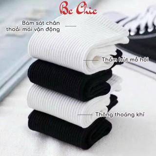 Tất / vớ cổ cao nam nữ T 909 màu trắng - Tất / vớ loại đẹp thấm hút mồ hôi co giãn 8 chiều BC_CHIC LINGERIE