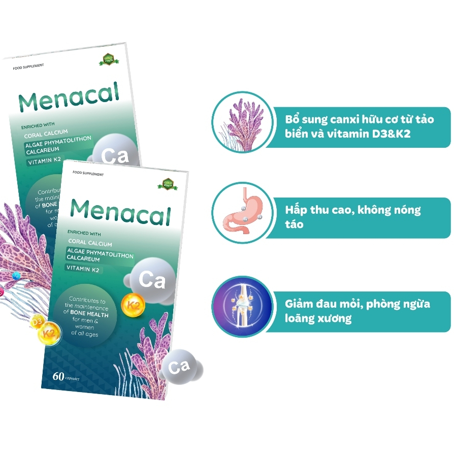 Bộ Ferrolip Vitamin Canxi DHA  cho bà bầu & mẹ sau sinh Bổ bầu