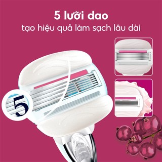 Dao cạo Gillette Venus Comfortglide Olay Sugarberry (1 cây)