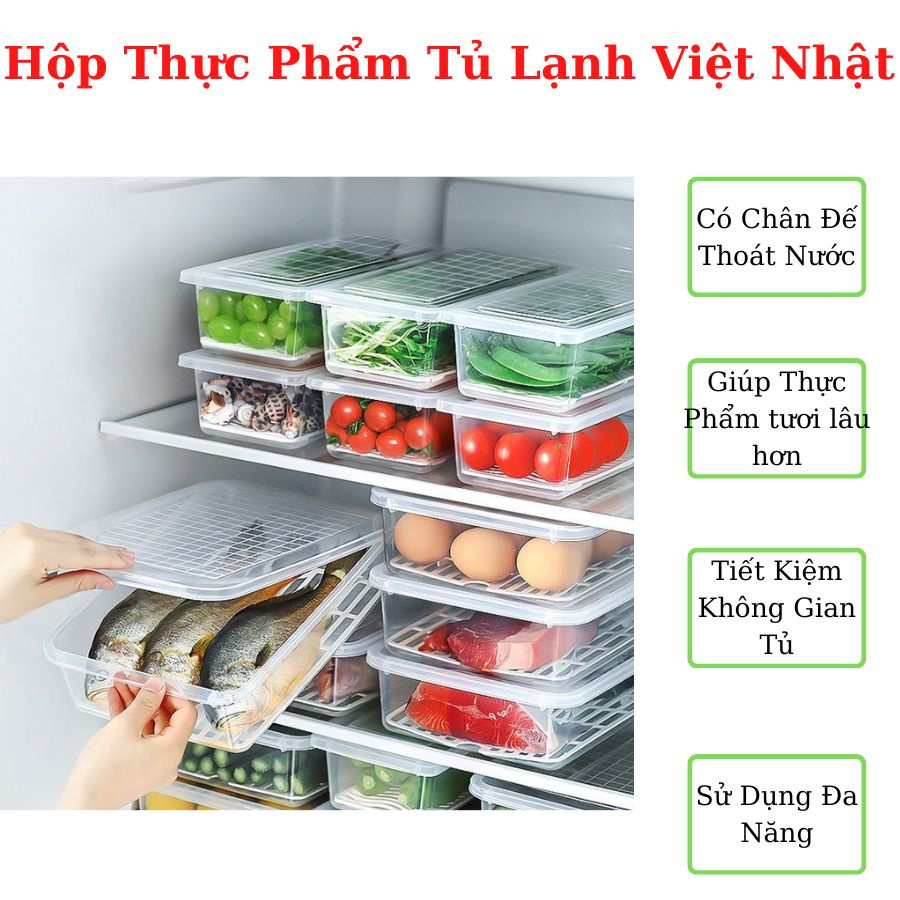 Hộp Nhựa Đựng Thực Phẩm Tủ Lạnh, Hộp Tủ Lạnh Đa Năng Cao Cấp , Hộp Bảo Quản Thực Phẩm Tươi Lâu- 1986