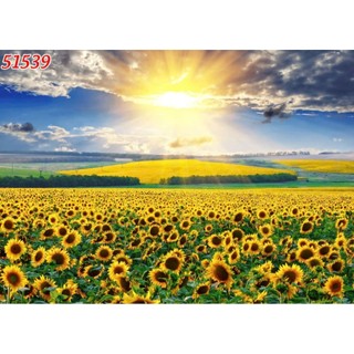 Tranh dán tường hoa hướng dương, tranh 3D in trên chất liệu vải lụa (shop tặng kèm keo dán)