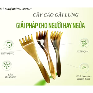 Cây cào gãi ngứa toàn thân bằng sừng tự nhiên dùng cho mọi lứa tuổi - Mỹ nghệ dưỡng sinh HT