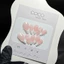 Nail Box thiết kế - G078 màu thạch hồng baby vẽ fench trắng nhà Gemychip