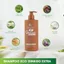 Gội Xả Eco Ginkgo Extra, Phục Hồi, Nuôi Dưỡng Tóc Hư Tổn, Chẻ Ngọn Từ Thiên Nhiên