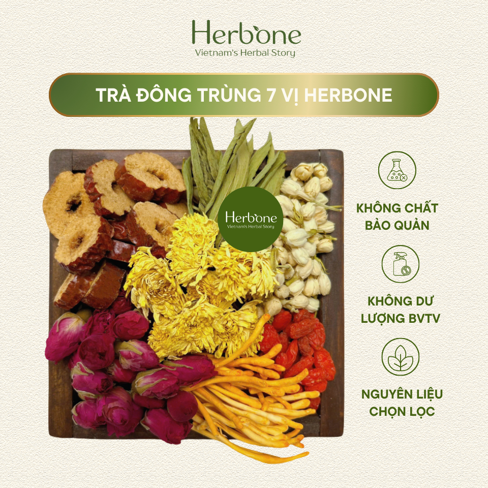 Trà Thảo Mộc Đông Trùng 7 Vị HERBONE Cải Thiện Sức Khỏe, Chống Lão Hóa, Đẹp Da, Ngủ Ngon