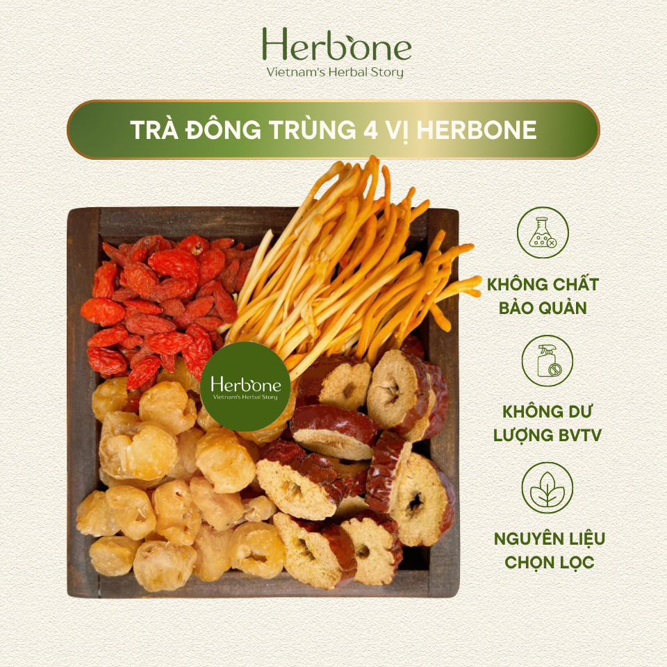 Trà Thảo Mộc Đông Trùng Hạ Thảo 4 Vị HERBONE Cải Thiện Sức Khỏe, Chống Lão Hóa, Ngủ Ngon