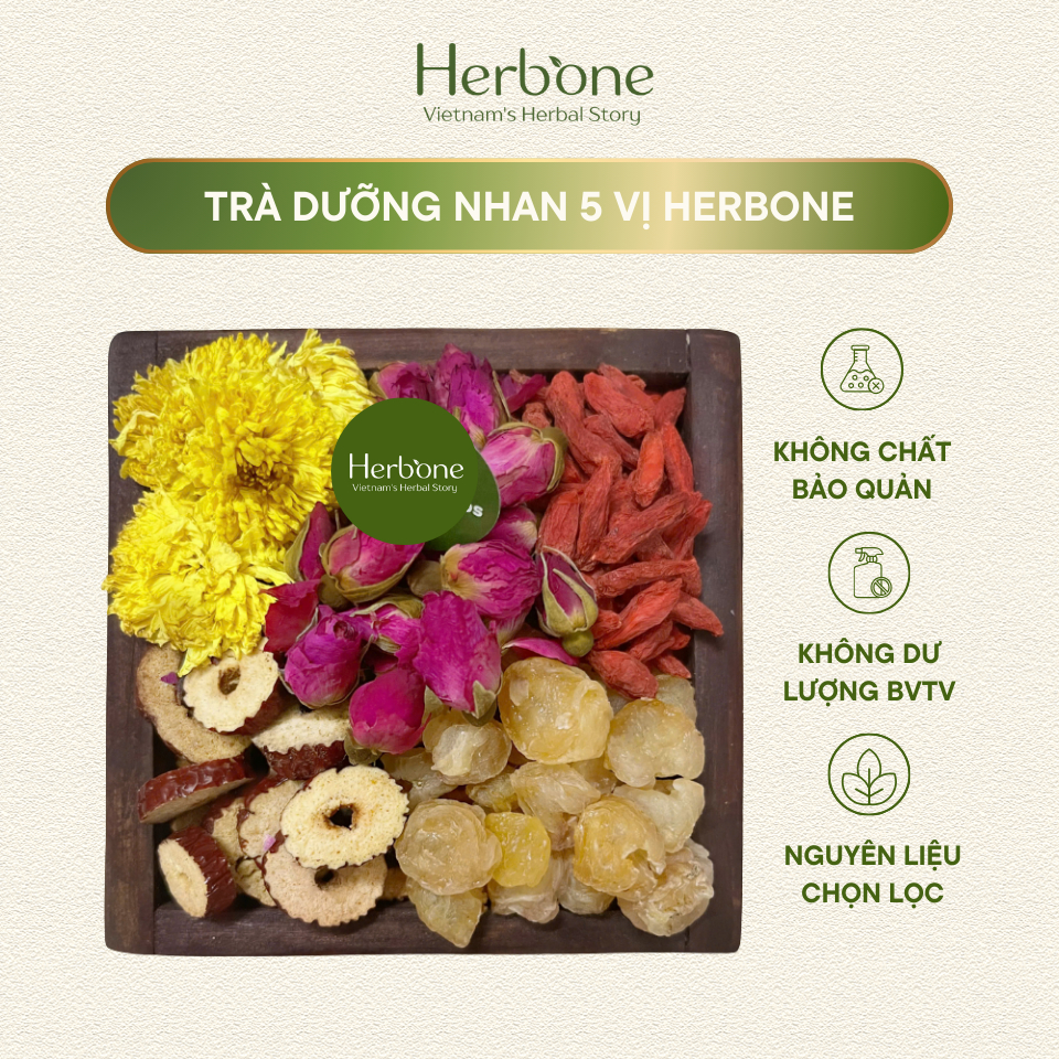 Trà Dưỡng Nhan 5 Vị HERBONE Hoa Cúc, Long Nhãn, Nụ Hồng, Táo Đỏ, Kỷ Tử