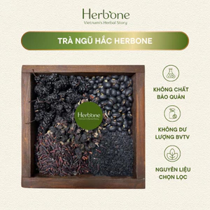 Trà Ngũ Hắc HERBONE Hỗ Trợ Mọc Tóc Nhanh, Giảm Rụng Tóc, Giảm Bạc Tóc, Làm Đẹp Da