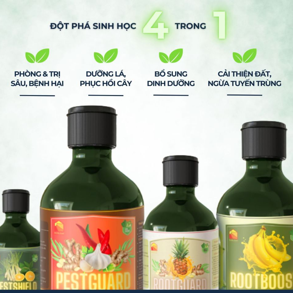 Combo 3 Chai Hữu Cơ SUNLEAF Giảm Đốm Lá, Hạn Chế Vi Khuẩn & Xua Đuổi Côn Trùng Cho Hoa Hồng Hoa Lan