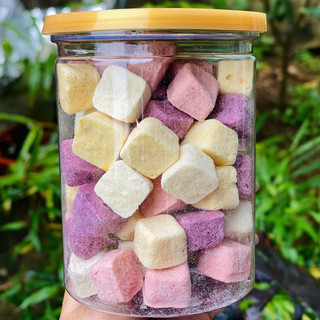 Combo 1 hũ dâu tây- 1 hũ sữa chua sấy 100g chuẩn vị Chua, ngọt ngon hết nấc