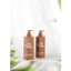 Gội Xả Eco Ginkgo Extra, Phục Hồi, Nuôi Dưỡng Tóc Hư Tổn, Chẻ Ngọn Từ Thiên Nhiên