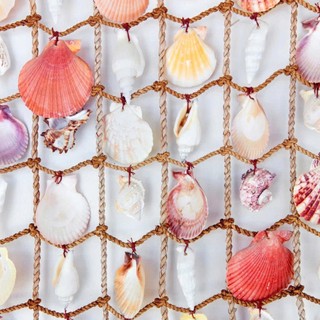 200g Vỏ sò điệp sọc - Vỏ sò trang trí - phụ kiện thủy sinh