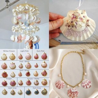 Combo 20 vỏ sò Điệp nhiều màu dùng làm đồ handmade, chuông gió, trang trí bể cá
