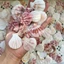 Vỏ sò kim cương màu tự nhiên hàng đẹp🌊