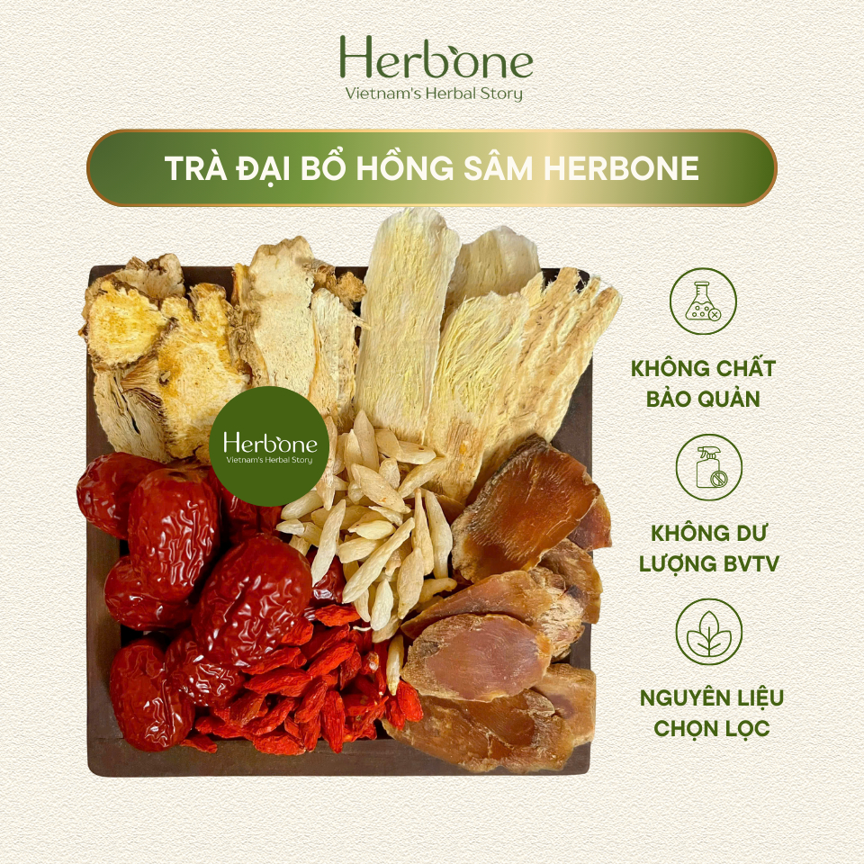 Trà Đại Bổ Khí Huyết Hồng Sâm Hoàng Kỳ HERBONE Đẹp Da Bổ Thận Tăng Sinh Lực