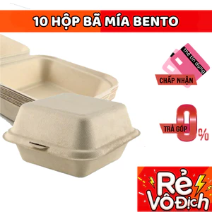 Set 25 Hộp Bã Mía (Màu Be) Bento cake form chuẩn đựng bánh kem, bánh bento, bánh gato,...