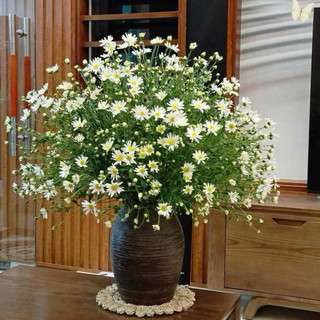 Bình gốm cắm hoa dáng chum miệng rộng cao 31cm gốm sứ Bát Tràng