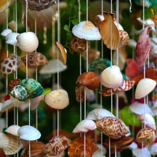 Vỏ ốc Hương - Ốc mượn hồn ( Hermit carb shells) - Vỏ ốc trang trí nhiều kích thước nhỏ vừa lớn
