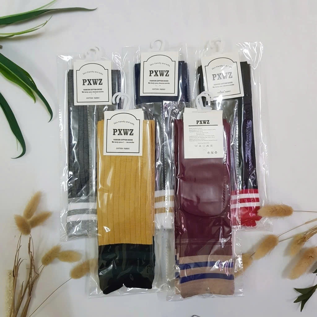 Tất Dài Đầu Gối Sắc Màu Phong Cách Hàn Quốc