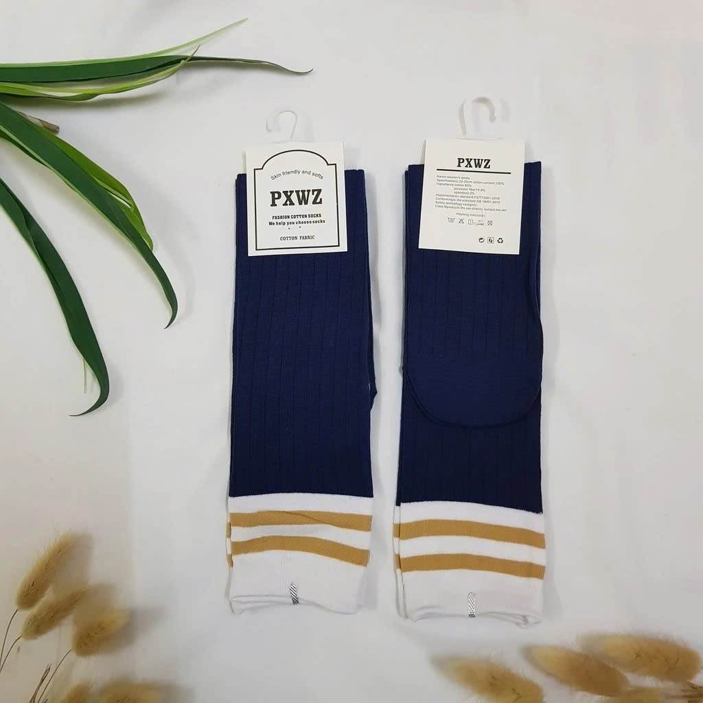 Tất Dài Đầu Gối Sắc Màu Phong Cách Hàn Quốc