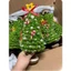 SET NGUYÊN LIỆU Cây Thông 🌲 Noel Mix Màu Quà Tặng Xinh Xắn