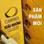 Socola Nhân Xoài Sấy Dẻo | Đồ ăn vặt cao cấp, bánh kẹo ngon, quà tặng cao cấp | Carino Legendary
