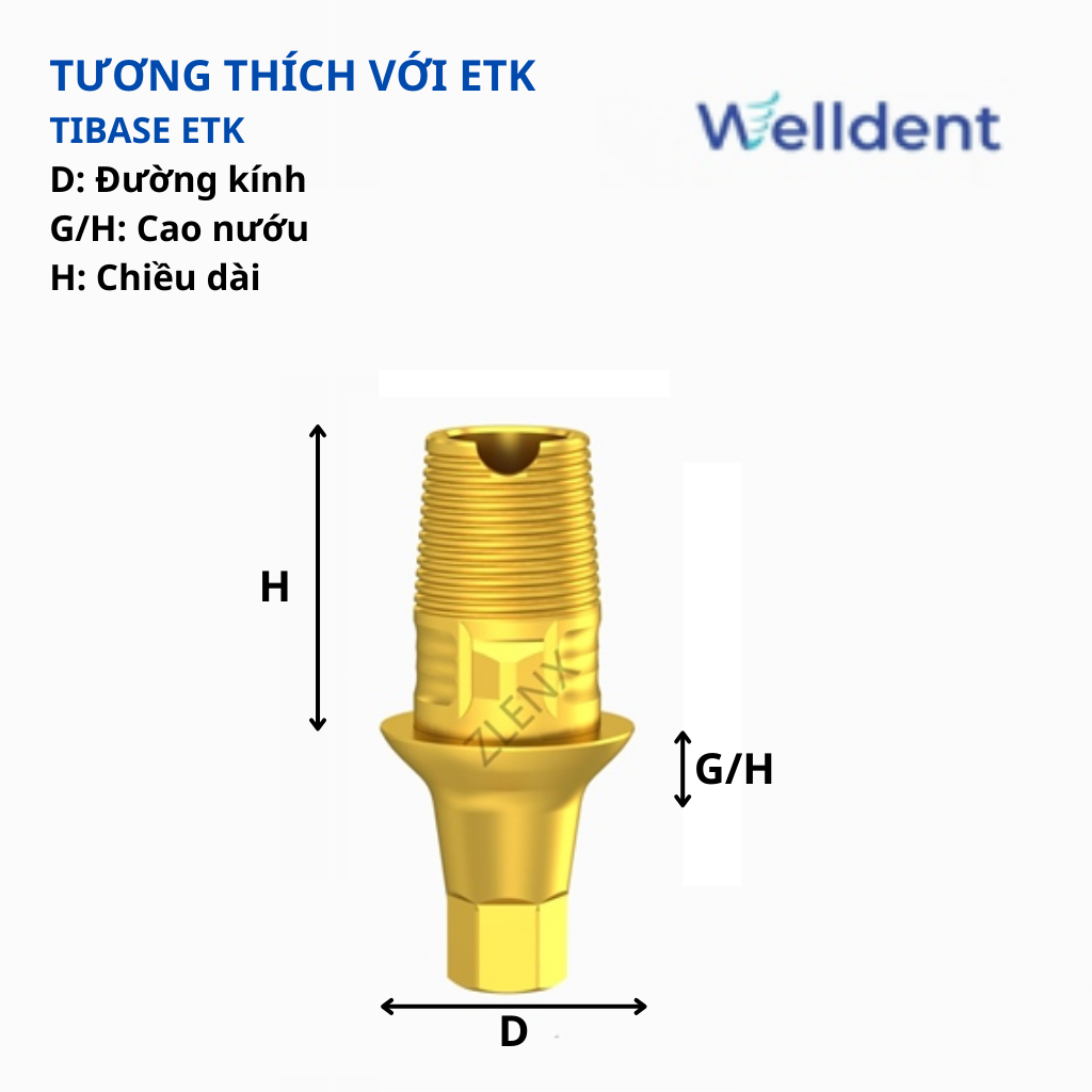 Tibase làm răng cửa – Tương thích với ETK Implant System | Shopee Việt Nam