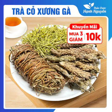 Trà cỏ xương gà, trà thảo mộc kê cốt thảo, hạ khô thảo, hoa kim ngân, thanh nhiệt, giải khát