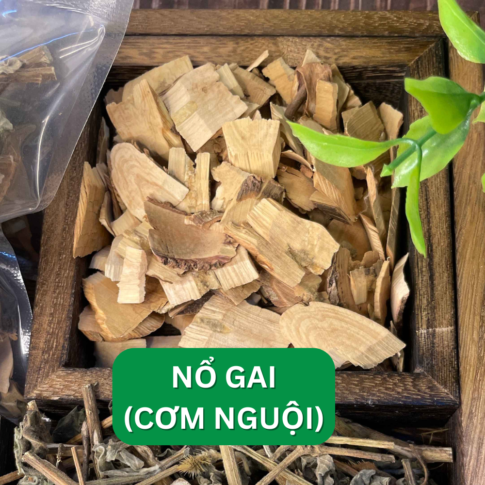 Combo 3 Vị Thiên Niên Kiện, Cỏ Xước, Nổ gai Thảo Dược Đức Thiện(Liệu trình 14 ngày) Hỗ Trợ Nhức Khớp