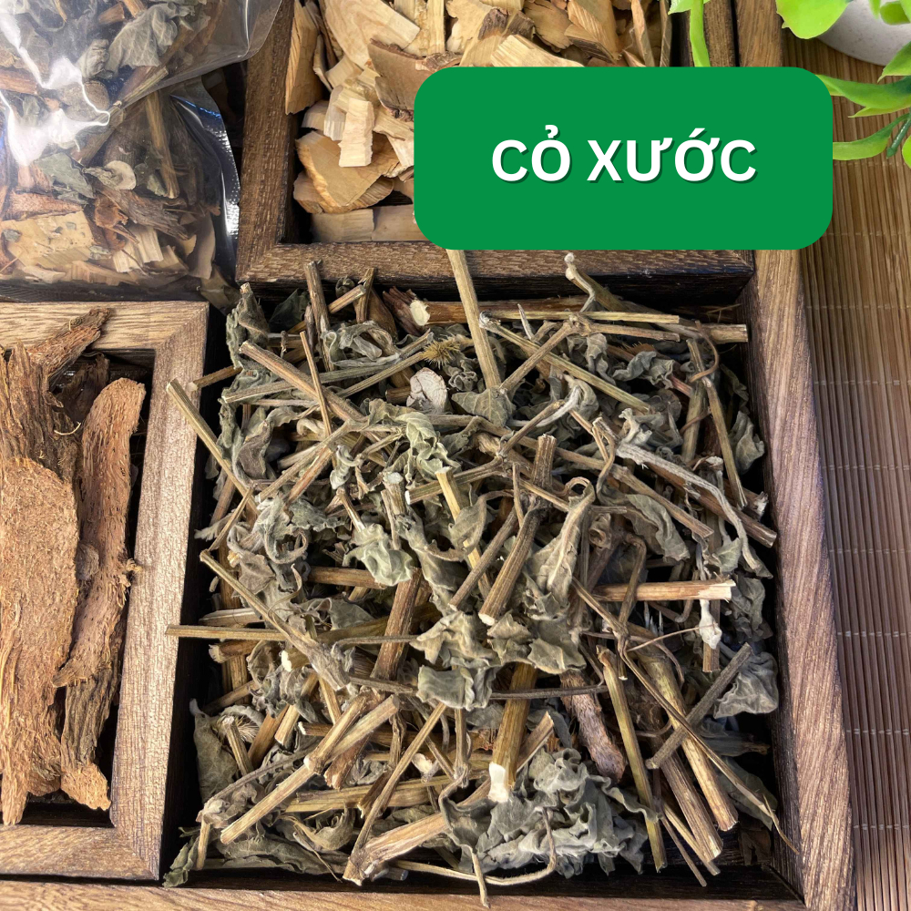 Combo 3 Vị Thiên Niên Kiện, Cỏ Xước, Nổ gai Thảo Dược Đức Thiện(Liệu trình 14 ngày) Hỗ Trợ Nhức Khớp