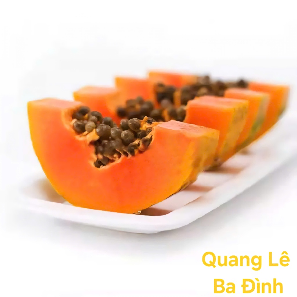 GÓI 100 HẠT GIỐNG ĐU ĐỦ LÙN RUỘT ĐỎ THÁI SIÊU QUẢ