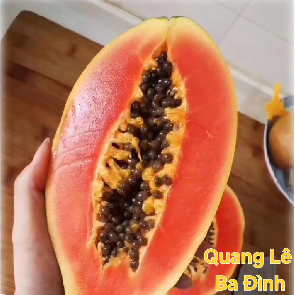 GÓI 100 HẠT GIỐNG ĐU ĐỦ LÙN RUỘT ĐỎ THÁI SIÊU QUẢ