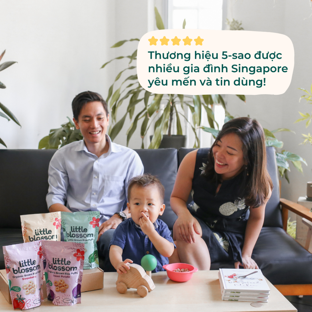 Bánh ăn dặm hữu cơ Little Blossom chính hãng, dành cho bé từ 9 tháng