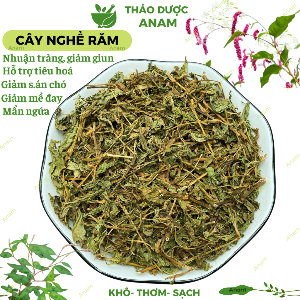 ram - Giá Tốt, Sale Tháng 06, Freeship 0Đ | Shopee Việt Nam