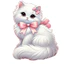Hình ủi nhiệt quần áo mẫu MÈO CUTE nhiều mẫu,nhiều size, ủi tại nhà bằng bàn ủi-THEO YÊU CẦU INBOX SHOP