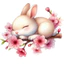 Hình ủi nhiệt quần áo mẫu MÈO CUTE nhiều mẫu,nhiều size, ủi tại nhà bằng bàn ủi-THEO YÊU CẦU INBOX SHOP