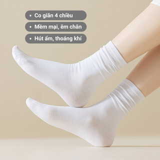 Combo 6 đôi tất nữ cổ trung GOMTAT dệt kim, vớ chân nữ trơn màu mềm mịn thoáng khí - OAS-1703-CB6