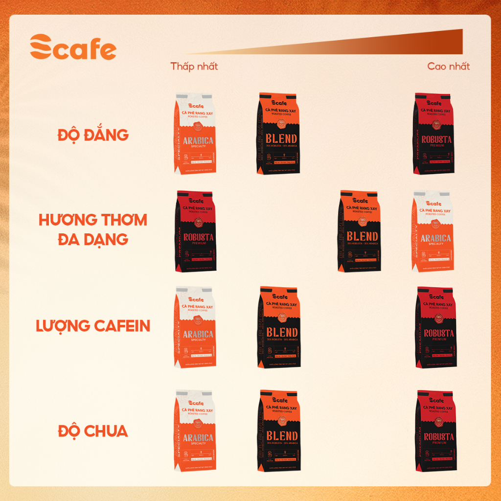 Cà Phê Nguyên Chất BLEND 70% Robusta & 30% Arabica Rang Mộc Scafe Việt Nam