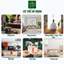 Nhang Thảo Mộc Yên Sạch Mix Quế Khuynh Diệp Hương Bài Loại 23-30-40cm Hộp 100 Thanh 100 % Tự Nhiên
